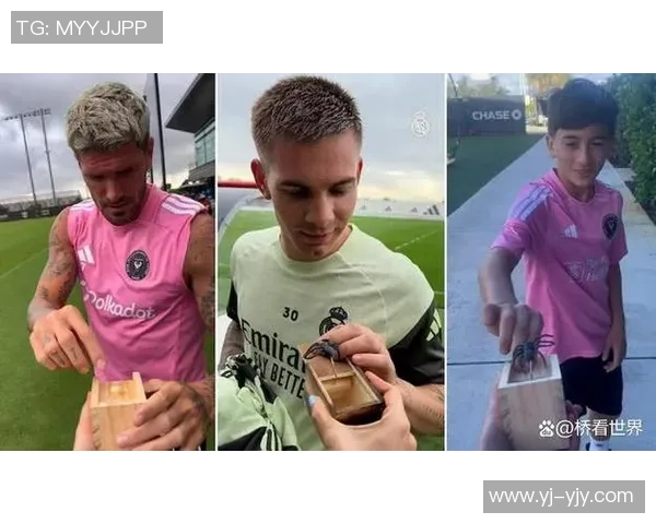 足球明星意外上舞台遭袭击引发热议背后真相令人震惊